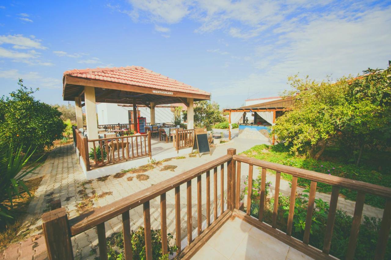 Castle Karpasia Guest House Authentic Atmosphere ! Rizokarpaso Экстерьер фото