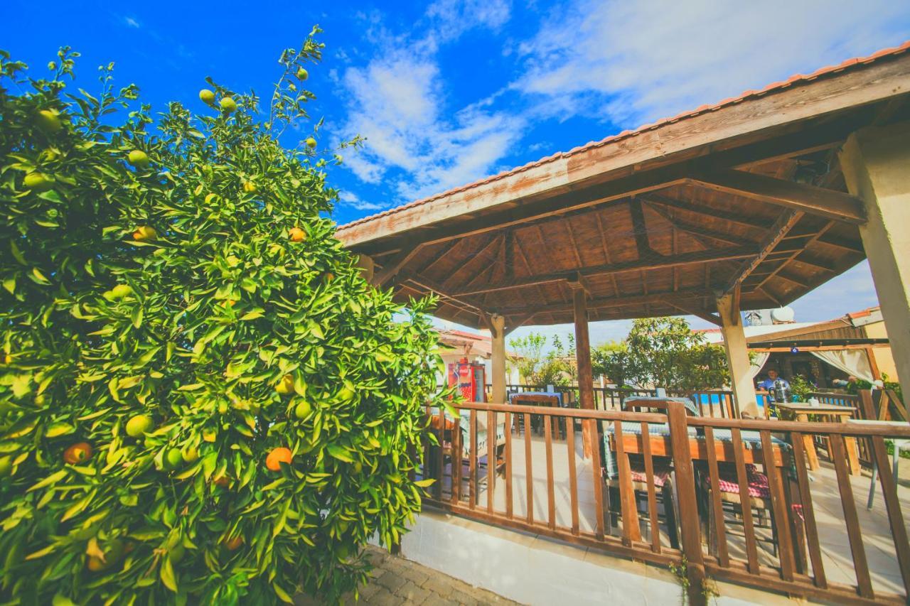 Castle Karpasia Guest House Authentic Atmosphere ! Rizokarpaso Экстерьер фото
